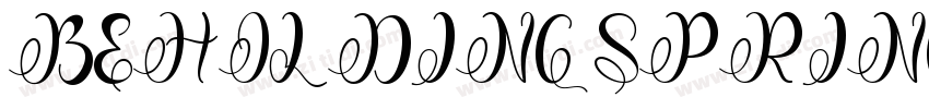 BEHOLDING SPRING字体转换